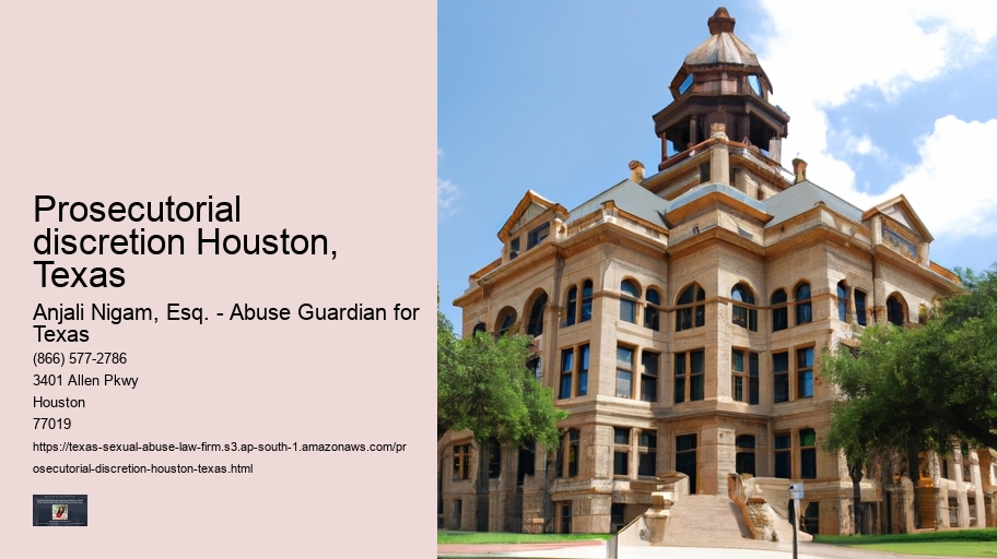 Prosecutorial discretion Houston, Texas